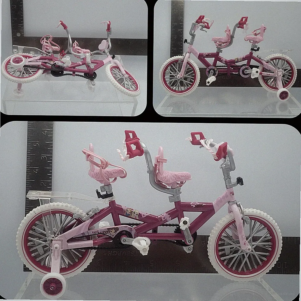 Training Wheel Tandem Bike