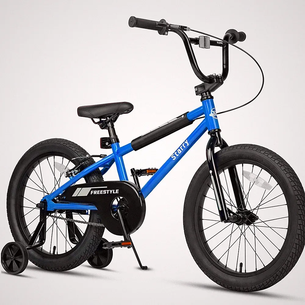 Kids Bike 18 Inch BMX Style Training Wheels Coaster Brake Sky Blue cubsala Years